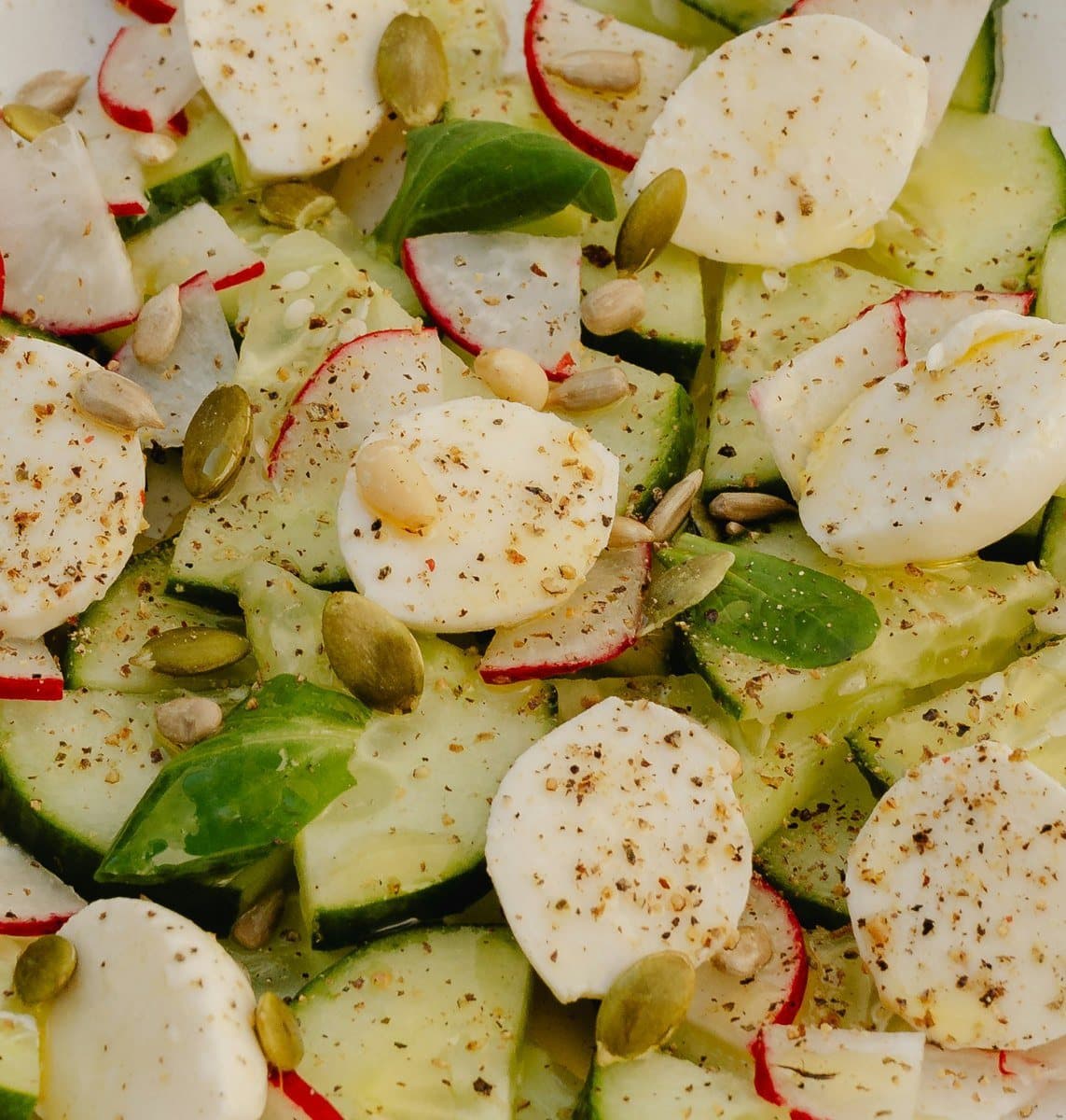 Pepino, rábano y hierbas. Mother por encima.